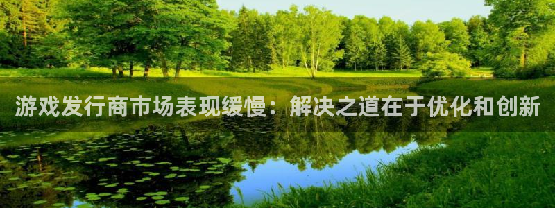 杏耀官网代理注册不了：游戏发行商市场表现缓慢：解决之道在于优化和创新