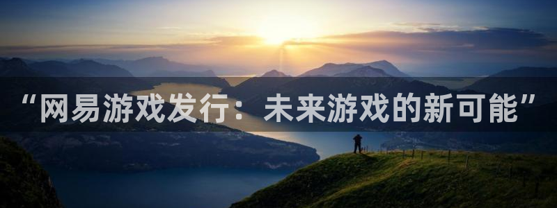 陕西杏耀子文化公司有什么游戏：“网易游戏发行：未来游戏的新可能”
