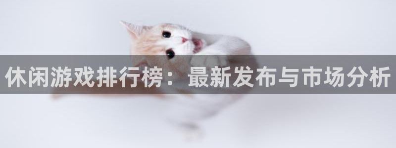 广州杏耀投资管理顾问有限公司：休闲游戏排行榜：最新发布与市场分析