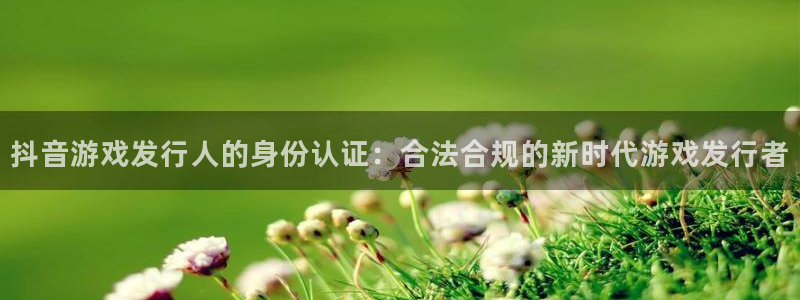 深圳市杏耀科技有限招聘公司：抖音游戏发行人的身份认证：合法合规的新时代游戏发行者