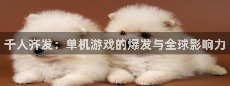 杏耀官网跑路了吗：千人齐发：单机游戏的爆发与全球影响力