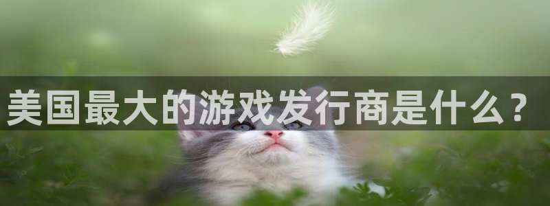 杏耀烟照片