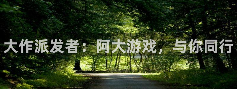 杏耀官网注册登录：大作派发者：阿大游戏，与你同行
