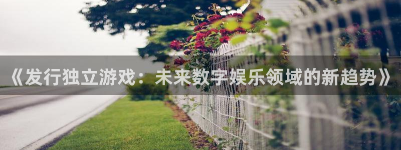 杏耀官网注册方法有哪些：《发行独立游戏：未来数字娱乐领域的新趋势》