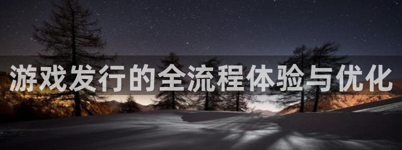 杏耀啤酒多少钱一箱：游戏发行的全流程体验与优化