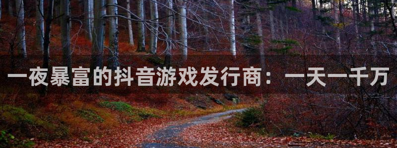 杏耀装饰：一夜暴富的抖音游戏发行商：一天一千万