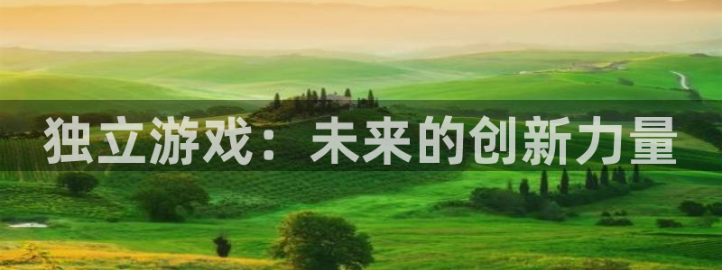 杏耀衣服怎么样：独立游戏：未来的创新力量