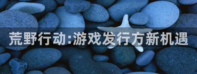 杏耀官网平台代理条件如何