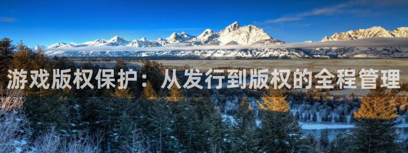 作者杏耀子小说：游戏版权保护：从发行到版权的全程管理