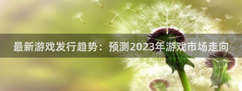 杏耀电子商务有限公司怎么样