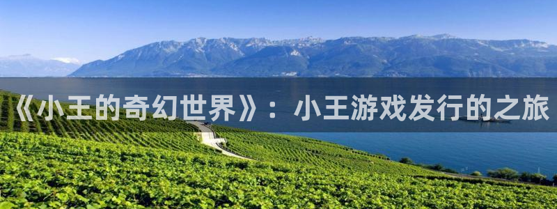 杏耀官网注册平台是什么公司